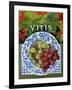 Vitus (Grapes), 2014-Jennifer Abbott-Framed Giclee Print