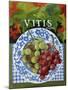 Vitus (Grapes), 2014-Jennifer Abbott-Mounted Giclee Print