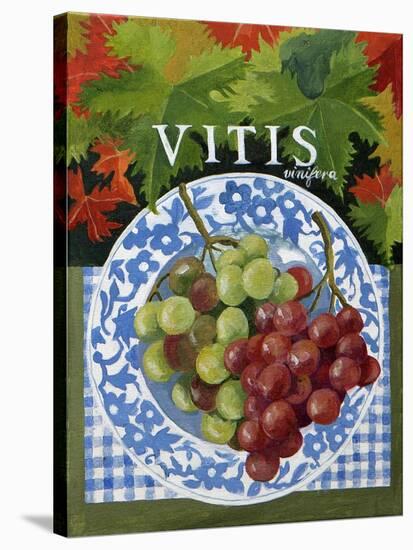 Vitus (Grapes), 2014-Jennifer Abbott-Stretched Canvas