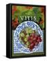 Vitus (Grapes), 2014-Jennifer Abbott-Framed Stretched Canvas