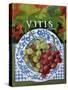 Vitus (Grapes), 2014-Jennifer Abbott-Stretched Canvas
