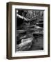 Vitz-Jim Crotty-Framed Photographic Print