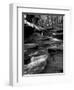 Vitz-Jim Crotty-Framed Photographic Print