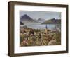 Vitznau and the Vierwaldstattersee, with the Rigibahn Railway-null-Framed Photographic Print