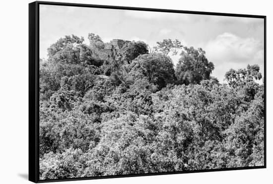 ¡Viva Mexico! B&W Collection - Ancient Maya City within the jungle - Calakmul-Philippe Hugonnard-Framed Stretched Canvas