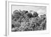 ¡Viva Mexico! B&W Collection - Ancient Maya City within the jungle - Calakmul-Philippe Hugonnard-Framed Photographic Print