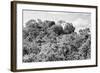 ¡Viva Mexico! B&W Collection - Ancient Maya City within the jungle - Calakmul-Philippe Hugonnard-Framed Photographic Print