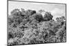 ¡Viva Mexico! B&W Collection - Ancient Maya City within the jungle - Calakmul-Philippe Hugonnard-Mounted Photographic Print