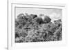 ¡Viva Mexico! B&W Collection - Ancient Maya City within the jungle - Calakmul-Philippe Hugonnard-Framed Photographic Print