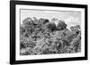 ¡Viva Mexico! B&W Collection - Ancient Maya City within the jungle - Calakmul-Philippe Hugonnard-Framed Photographic Print