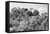 ¡Viva Mexico! B&W Collection - Ancient Maya City within the jungle - Calakmul-Philippe Hugonnard-Framed Stretched Canvas