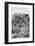 ¡Viva Mexico! B&W Collection - Ancient Maya City within the jungle II - Calakmul-Philippe Hugonnard-Framed Photographic Print