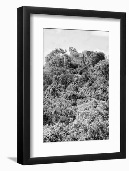 ¡Viva Mexico! B&W Collection - Ancient Maya City within the jungle II - Calakmul-Philippe Hugonnard-Framed Photographic Print
