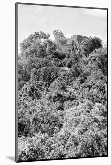 ¡Viva Mexico! B&W Collection - Ancient Maya City within the jungle II - Calakmul-Philippe Hugonnard-Mounted Photographic Print