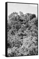 ¡Viva Mexico! B&W Collection - Ancient Maya City within the jungle II - Calakmul-Philippe Hugonnard-Framed Stretched Canvas