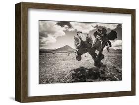 ¡Viva Mexico! B&W Collection - Cactus in the Mexican Desert II-Philippe Hugonnard-Framed Photographic Print