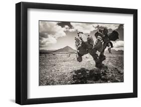 ¡Viva Mexico! B&W Collection - Cactus in the Mexican Desert II-Philippe Hugonnard-Framed Photographic Print