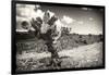 ¡Viva Mexico! B&W Collection - Cactus in the Mexican Desert III-Philippe Hugonnard-Framed Photographic Print