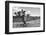 ¡Viva Mexico! B&W Collection - Cactus in the Mexican Desert IV-Philippe Hugonnard-Framed Photographic Print