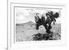 ¡Viva Mexico! B&W Collection - Cactus in the Mexican Desert-Philippe Hugonnard-Framed Photographic Print