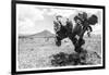 ¡Viva Mexico! B&W Collection - Cactus in the Mexican Desert-Philippe Hugonnard-Framed Photographic Print