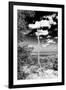 ¡Viva Mexico! B&W Collection - Calakmul Tree II-Philippe Hugonnard-Framed Premium Photographic Print