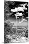 ¡Viva Mexico! B&W Collection - Calakmul Tree II-Philippe Hugonnard-Mounted Premium Photographic Print