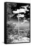 ¡Viva Mexico! B&W Collection - Calakmul Tree II-Philippe Hugonnard-Framed Stretched Canvas
