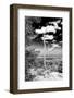 ¡Viva Mexico! B&W Collection - Calakmul Tree II-Philippe Hugonnard-Framed Photographic Print