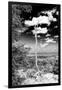 ¡Viva Mexico! B&W Collection - Calakmul Tree II-Philippe Hugonnard-Framed Premium Photographic Print