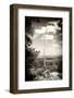 ¡Viva Mexico! B&W Collection - Calakmul Tree-Philippe Hugonnard-Framed Photographic Print