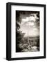 ¡Viva Mexico! B&W Collection - Calakmul Tree-Philippe Hugonnard-Framed Photographic Print