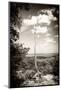 ¡Viva Mexico! B&W Collection - Calakmul Tree-Philippe Hugonnard-Mounted Photographic Print
