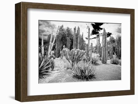 ¡Viva Mexico! B&W Collection - Cardon Cactus II-Philippe Hugonnard-Framed Photographic Print