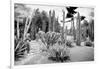 ¡Viva Mexico! B&W Collection - Cardon Cactus II-Philippe Hugonnard-Framed Photographic Print