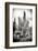 ?Viva Mexico! B&W Collection - Cardon Cactus IV-Philippe Hugonnard-Framed Photographic Print