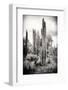 ?Viva Mexico! B&W Collection - Cardon Cactus IV-Philippe Hugonnard-Framed Photographic Print