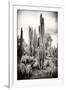 ?Viva Mexico! B&W Collection - Cardon Cactus IV-Philippe Hugonnard-Framed Photographic Print