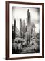 ?Viva Mexico! B&W Collection - Cardon Cactus IV-Philippe Hugonnard-Framed Photographic Print