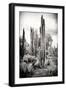 ?Viva Mexico! B&W Collection - Cardon Cactus IV-Philippe Hugonnard-Framed Photographic Print