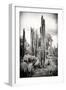 ?Viva Mexico! B&W Collection - Cardon Cactus IV-Philippe Hugonnard-Framed Photographic Print