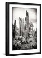 ?Viva Mexico! B&W Collection - Cardon Cactus IV-Philippe Hugonnard-Framed Premium Photographic Print