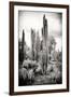 ?Viva Mexico! B&W Collection - Cardon Cactus IV-Philippe Hugonnard-Framed Premium Photographic Print