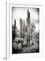 ?Viva Mexico! B&W Collection - Cardon Cactus IV-Philippe Hugonnard-Framed Photographic Print