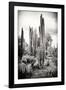 ?Viva Mexico! B&W Collection - Cardon Cactus IV-Philippe Hugonnard-Framed Photographic Print