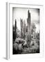 ?Viva Mexico! B&W Collection - Cardon Cactus IV-Philippe Hugonnard-Framed Photographic Print