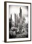 ?Viva Mexico! B&W Collection - Cardon Cactus IV-Philippe Hugonnard-Framed Photographic Print