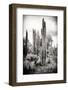 ?Viva Mexico! B&W Collection - Cardon Cactus IV-Philippe Hugonnard-Framed Premium Photographic Print