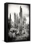 ?Viva Mexico! B&W Collection - Cardon Cactus IV-Philippe Hugonnard-Framed Stretched Canvas