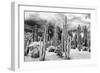 ?Viva Mexico! B&W Collection - Cardon Cactus-Philippe Hugonnard-Framed Photographic Print